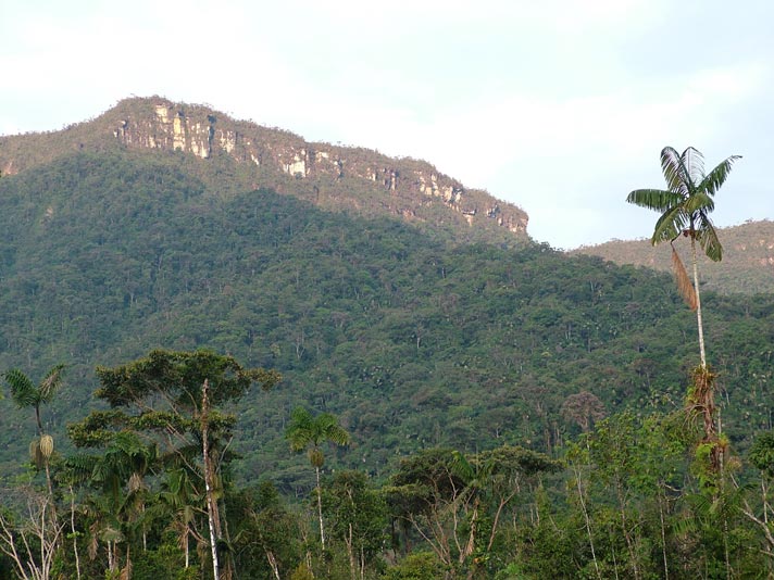Bosque Protector Cordillera del Cóndor